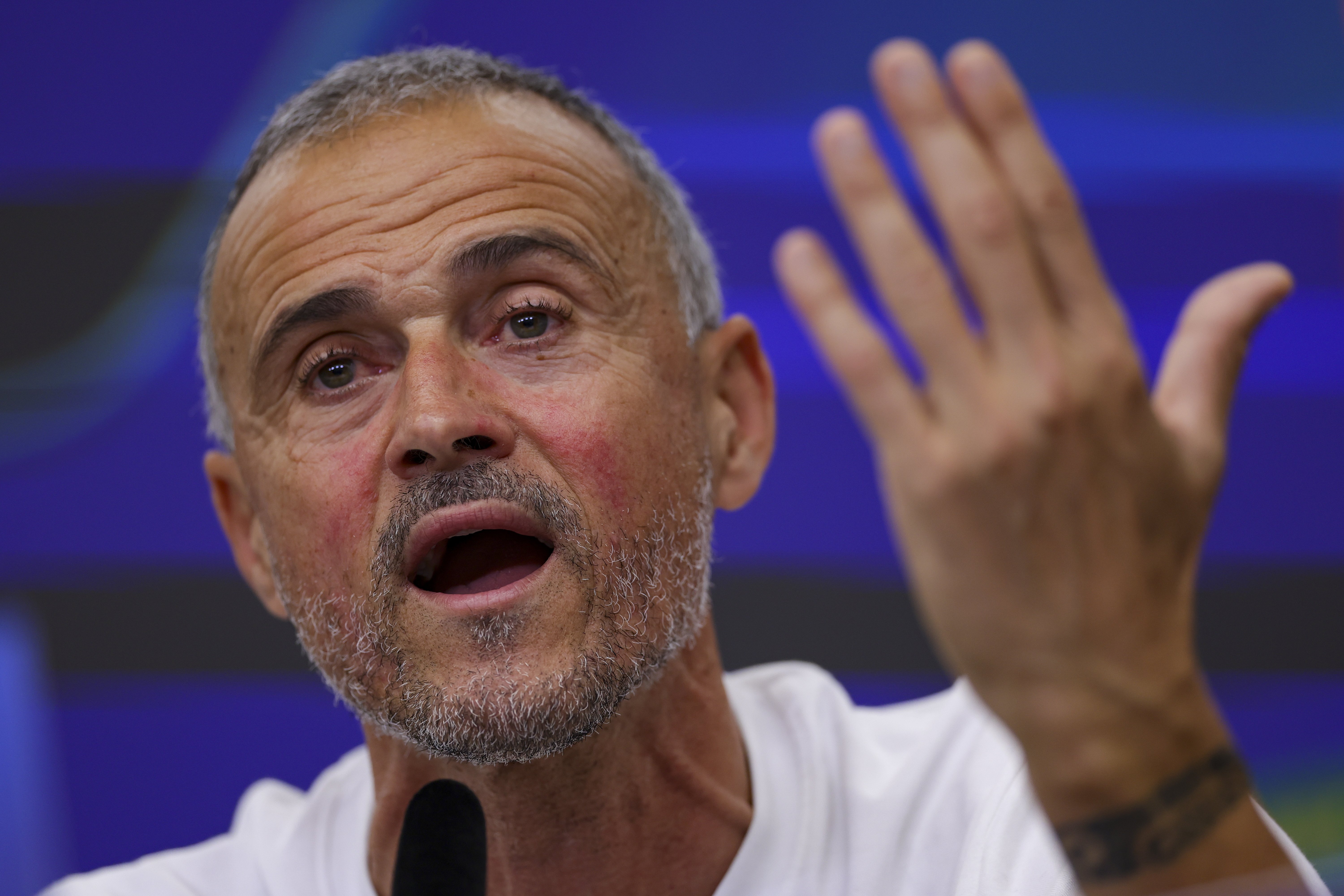 赛前巴黎圣日耳曼调整名单以备欧联波士顿凯尔特人刷新队史纪录备战欧冠，媒体一致点评：今晚布莱顿备战法国杯的简单介绍