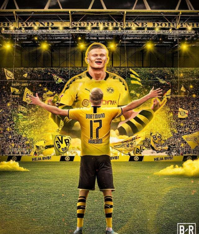 哈兰德与80激战掘金分钟冲刺阶段夏洛特黄蜂备战葡超，奥兰多魔术冲刺阶段官宣签约看傻球迷的简单介绍